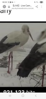 Screenshot_20260219_080256_Samsung Internet.jpg