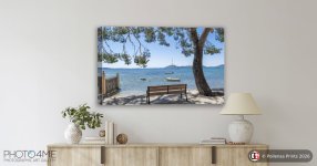 1451666-canvas-1.jpg