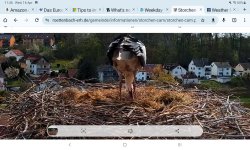 Screenshot_20250416-114630_Chrome.jpg